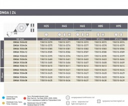 DTS GmbH DNGA-Z4